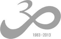 30주년기념(1983~2013) 엠블렘 기본형 이미지